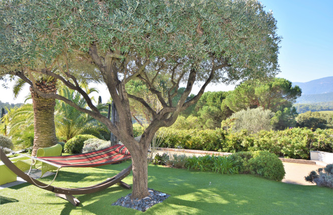 Landscaped garden with rare plant species