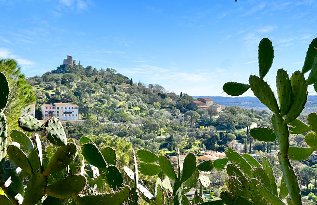 vue-chateau-nature-collines-vue-dégagée-immobilier-grimaud