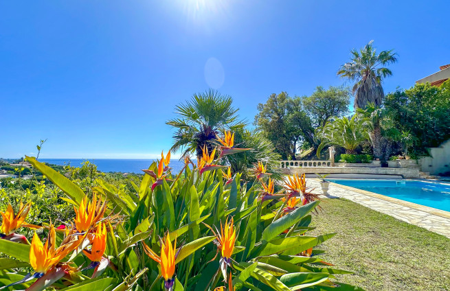 jardin-fleur-provence-villa-la-nartelle