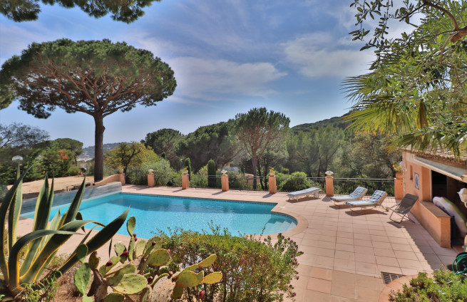 Swimming pool - 12x6 meters - sun - Provence - Nartelle