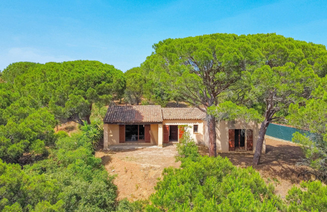 villa-for-nature-lovers-near-the-sea-la-croix-valmer