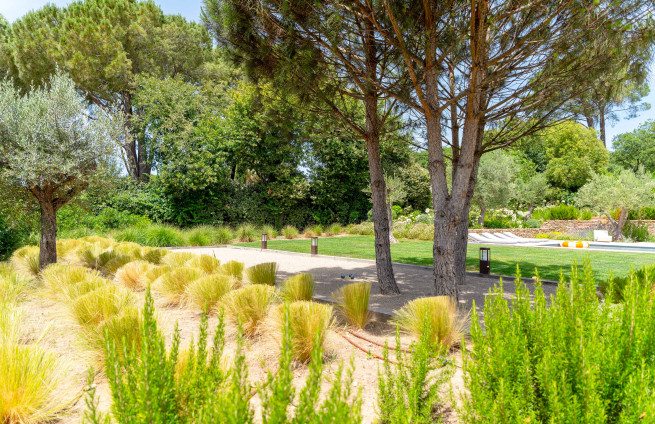 pin-parasol-jardin-paysager-grimaud