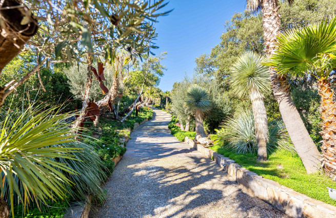 allee-arbrees-entree-privee-villa-gigaro