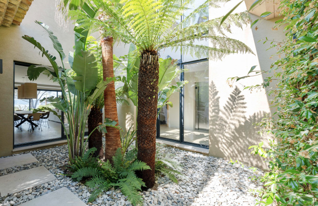 Mediterranean landscaped garden