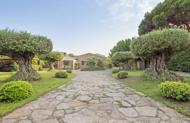 Mediterrane tuin met olijfbomen en lavendel