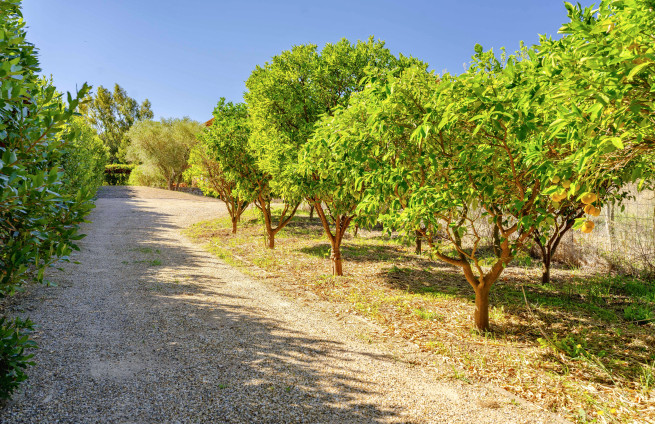 Villa for sale walking distance to Saint-Tropez and to the beach