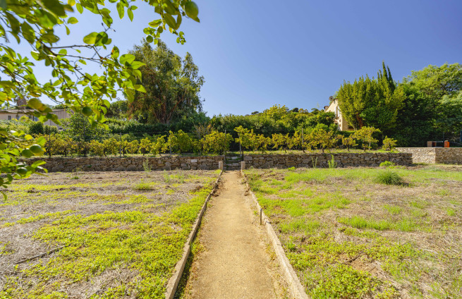 Provençal property on the French Riviera