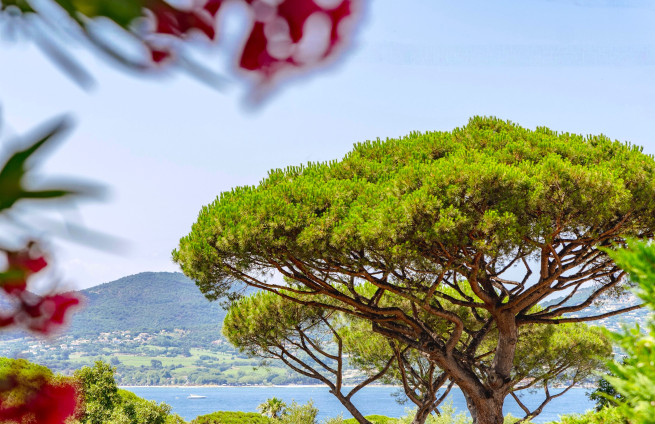 Villa vue mer à vendre à Sinopolis
