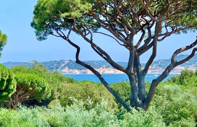 view-saint-tropez-luxury-villa-for-sale-beauvallon