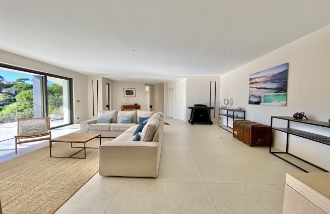 living room with pool access, luxury decor, contemporary design, semaphore villa