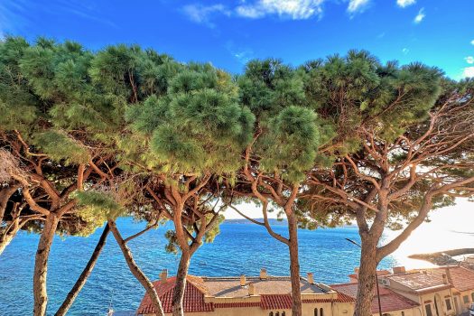 Sea view top floor apartment for sale in Sainte-Maxime center's